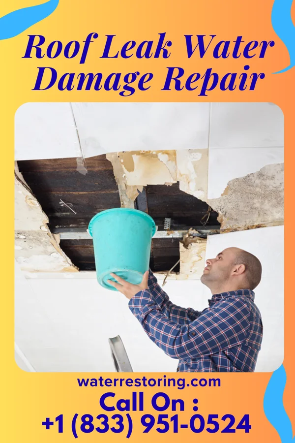 Roof Leak Water Damage Repair in Movico, AL